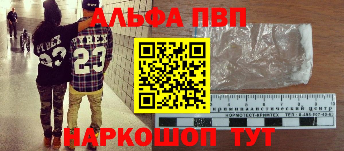 Альфа ПВП СК КРИС Архангельск
