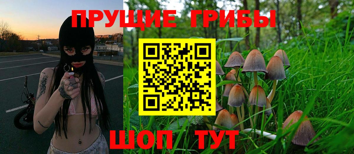 Псилоцибиновые грибы GOLDEN TEACHER  Псилоцибиновые грибы Cubensis  Вход с VPN  Архангельск 